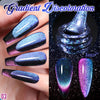 Aexzr™ Starry Galaxy Magnetic Gel Polish Set